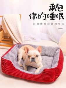 为你的比熊幼犬选择理想狗窝 舒适、安全与温馨的休息天堂
